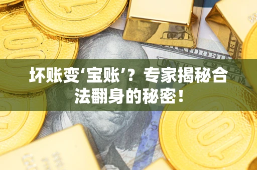 武汉坏账变‘宝账’?专家揭秘合法翻身的秘密! 武汉坏账变‘宝账’?专家揭秘合法翻身的秘密!